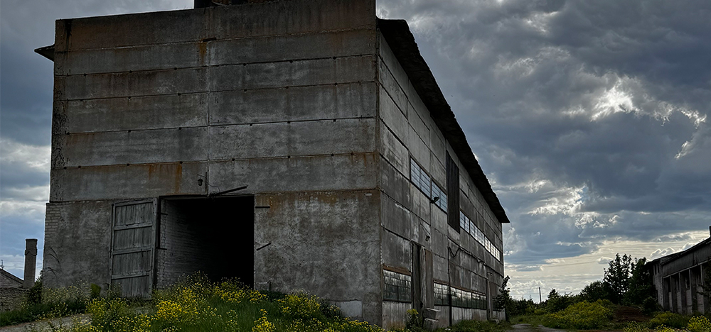 Image1